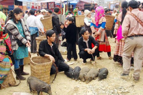 Tour Du Lịch Sapa - Chợ Bắc Hà 1 Ngày